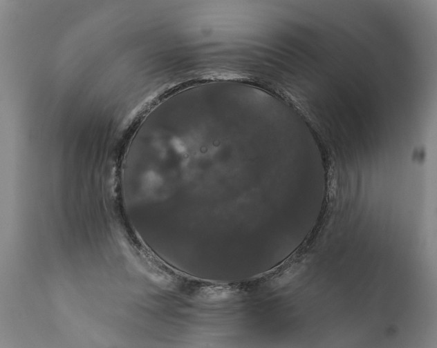 X0000111910351200908171307