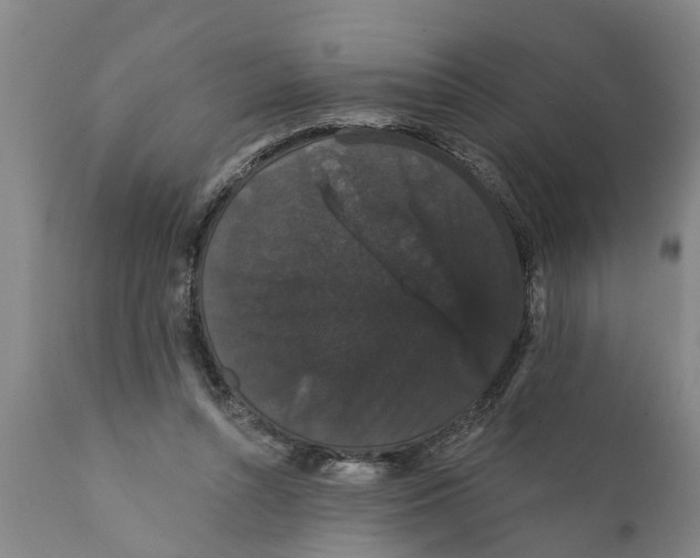 X0000111910352200908171307