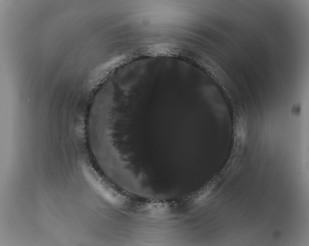 X0000111910353200908171307