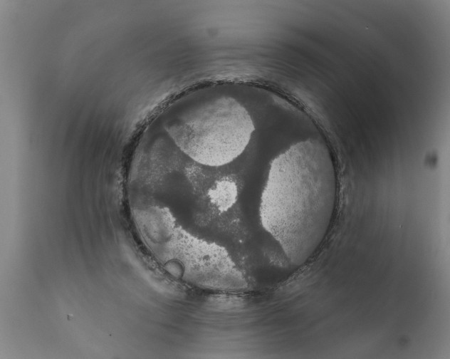 X0000111910354200908171307