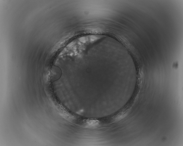 X0000111910355200908171307