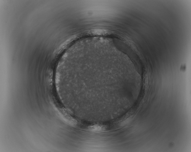 X0000111910356200908171307