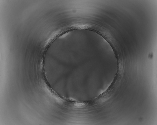 X0000111910357200908171307
