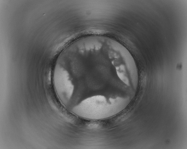 X0000111910358200908171307