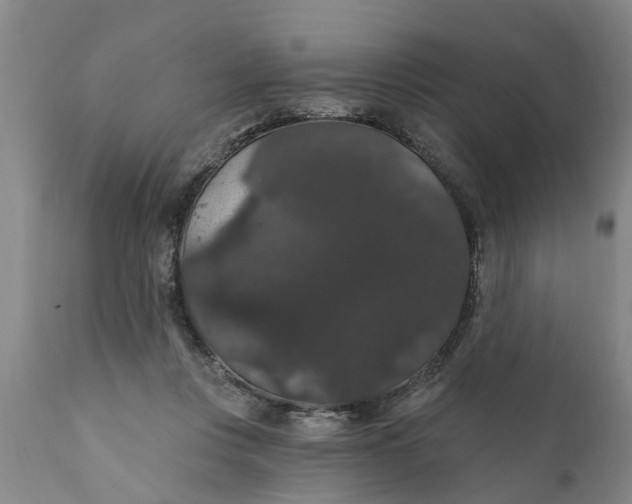 X0000111910359200908171307