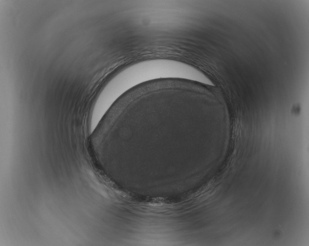 X0000111910360200908171307