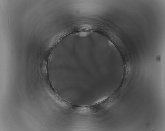 X0000111910361200908171307