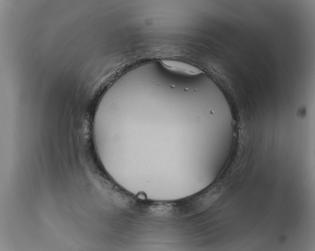 X0000111910362200908171307