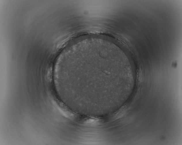 X0000111910364200908171307