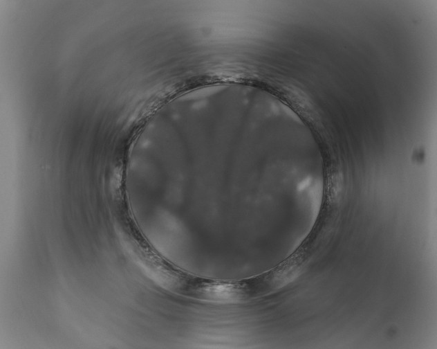 X0000111910365200908171307