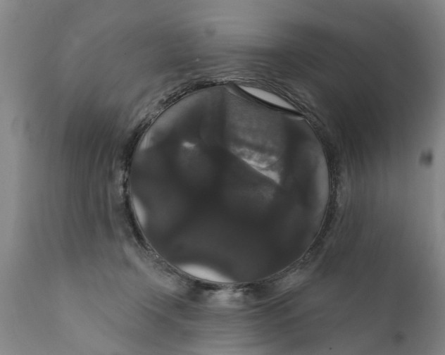 X0000111910366200908171307
