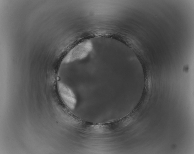 X0000111910367200908171307