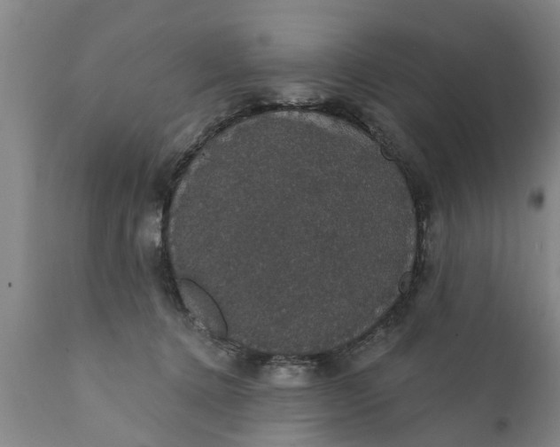 X0000111910368200908171307