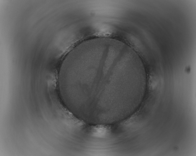 X0000111910370200908171307