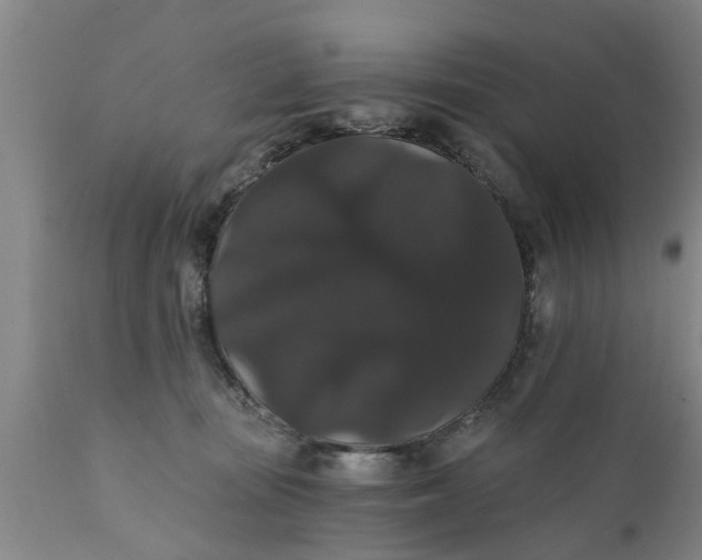 X0000111910371200908171307