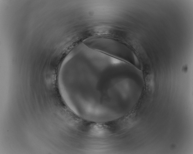 X0000111910372200908171307