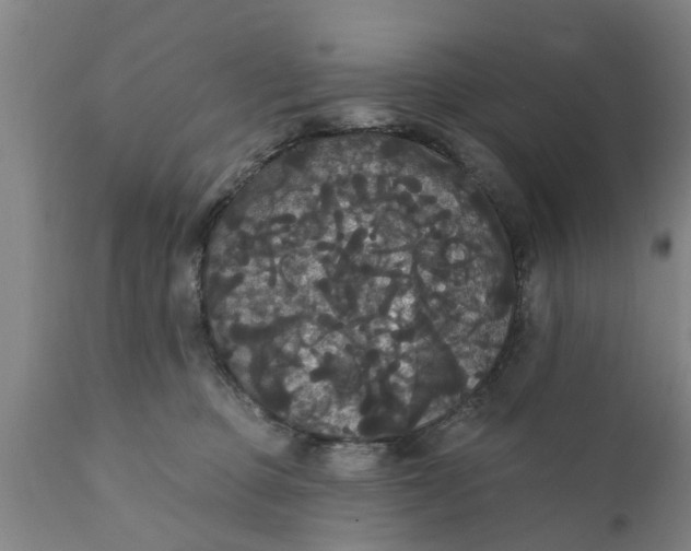 X0000111910373200908171307