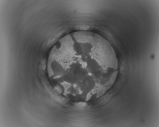 X0000111910374200908171307