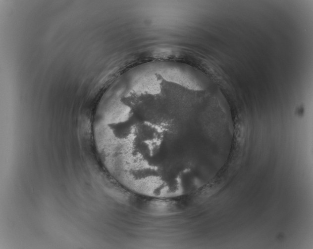 X0000111910375200908171307