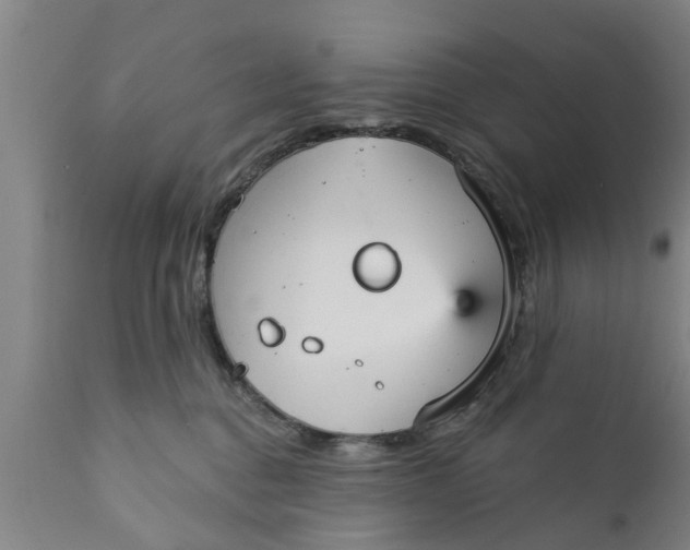 X0000111910376200908171307