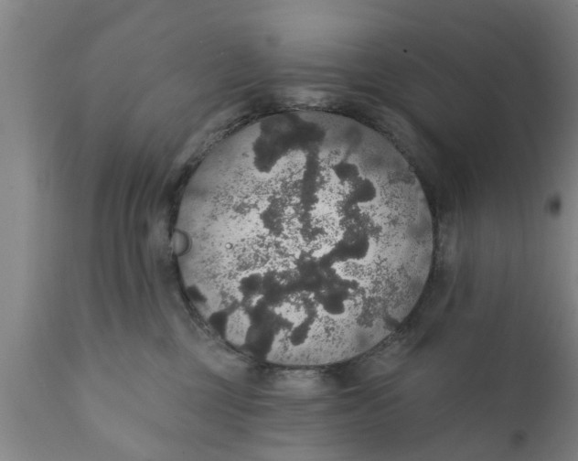 X0000111910377200908171307