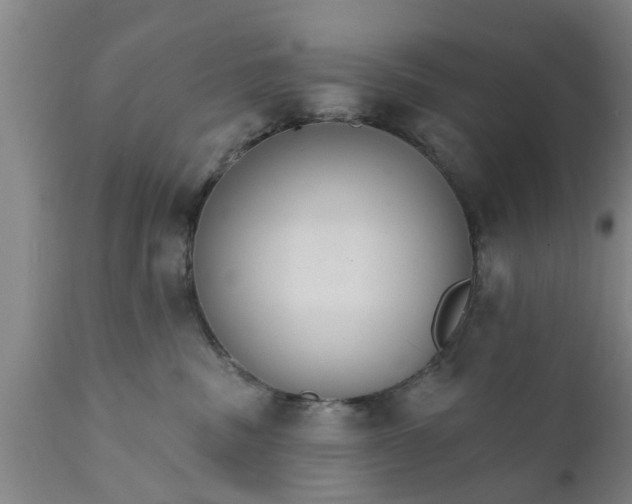 X0000111910379200908171307