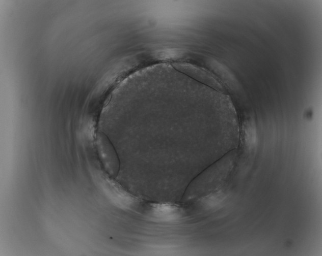 X0000111910380200908171307