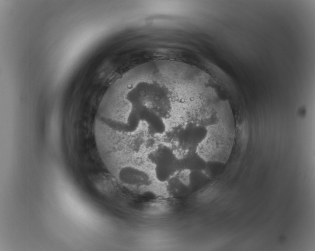 X0000111910381200908171307
