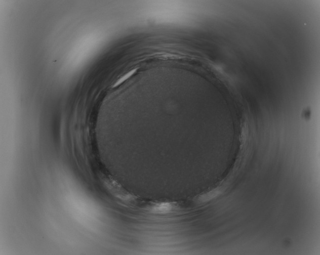 X0000111910382200908171307