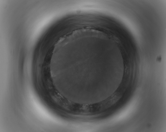 X0000111910383200908171307