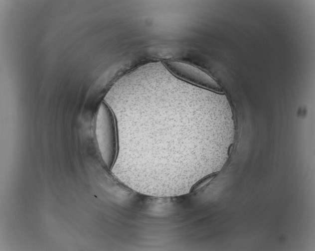 X0000111910384200908171307