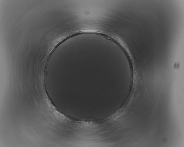 X0000111910385200908171306