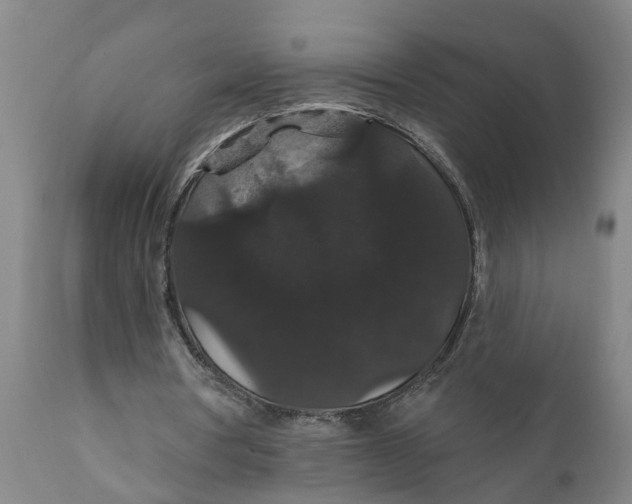 X0000111910386200908171306