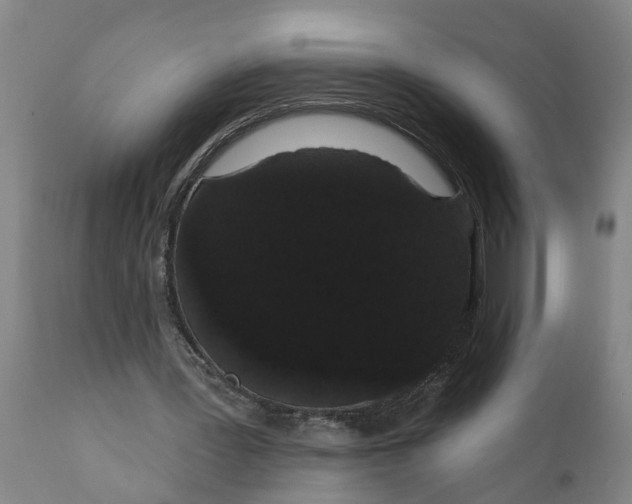 X0000111910387200908171306
