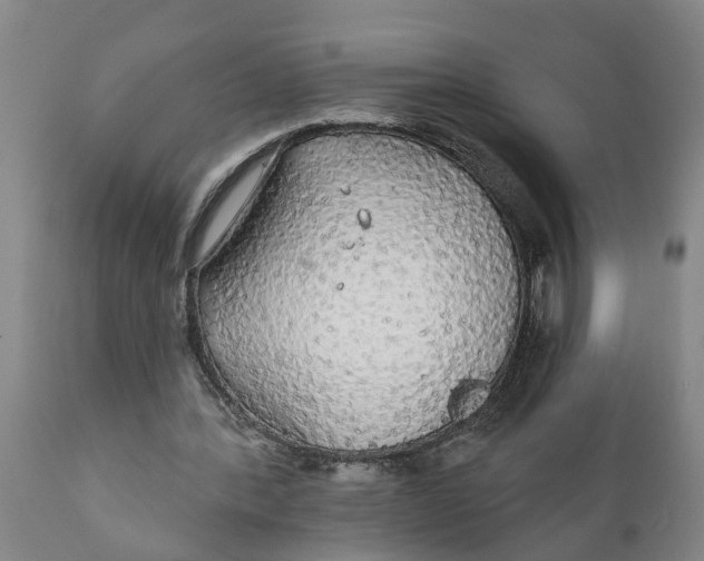 X0000111910388200908171306