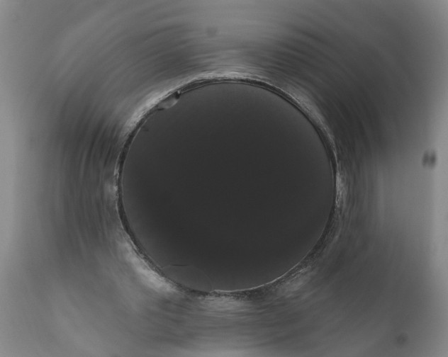 X0000111910389200908171306