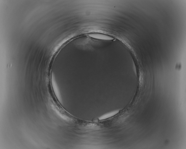 X0000111910390200908171306