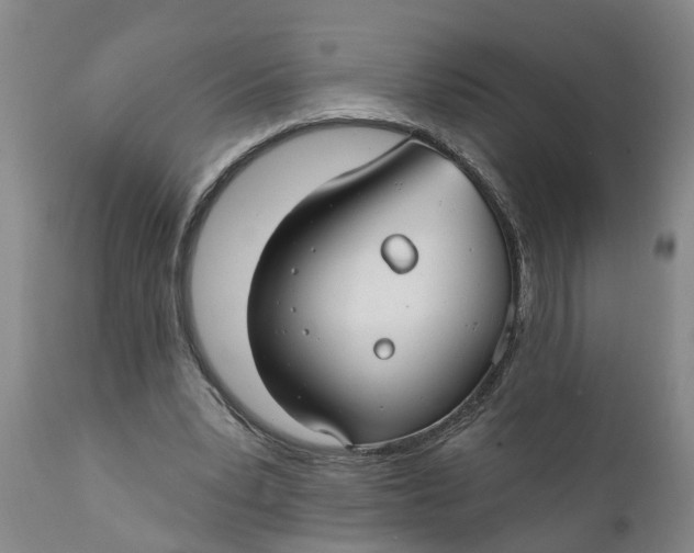 X0000111910391200908171306