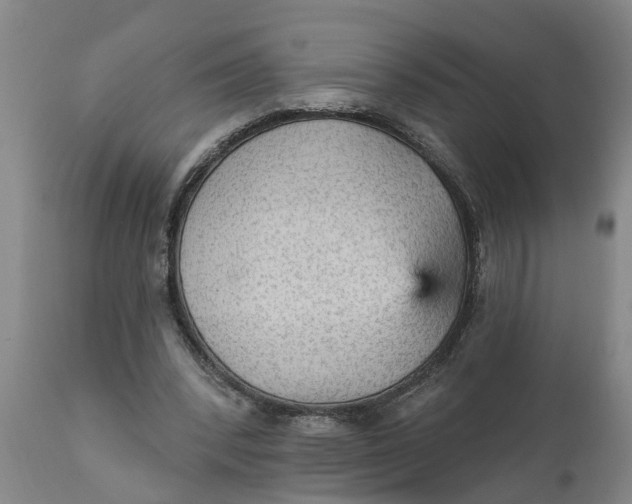 X0000111910392200908171306