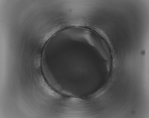 X0000111910393200908171306