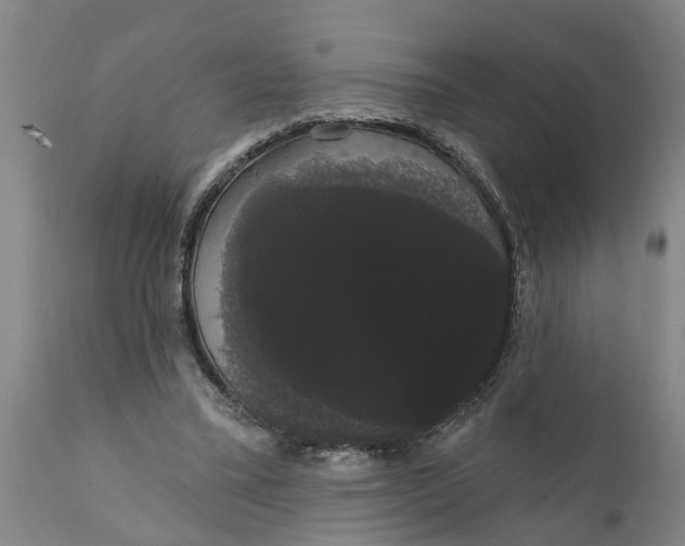 X0000111910395200908171306
