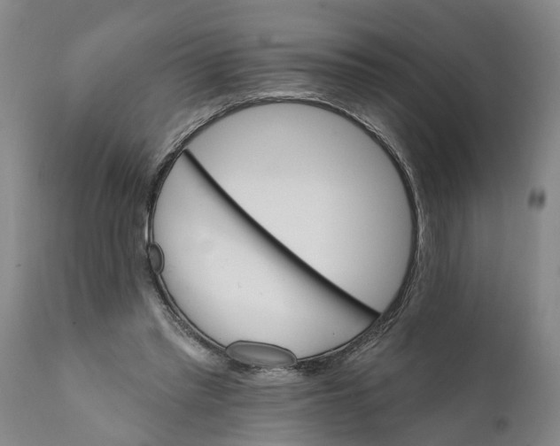 X0000111910397200908171306