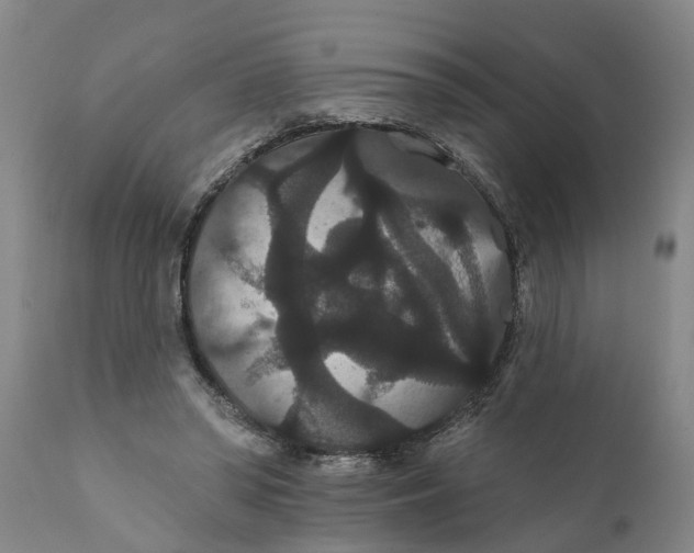 X0000111910398200908171306