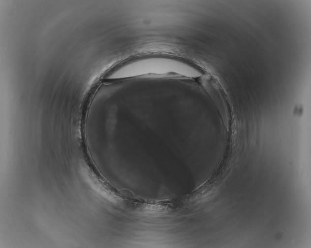 X0000111910399200908171306