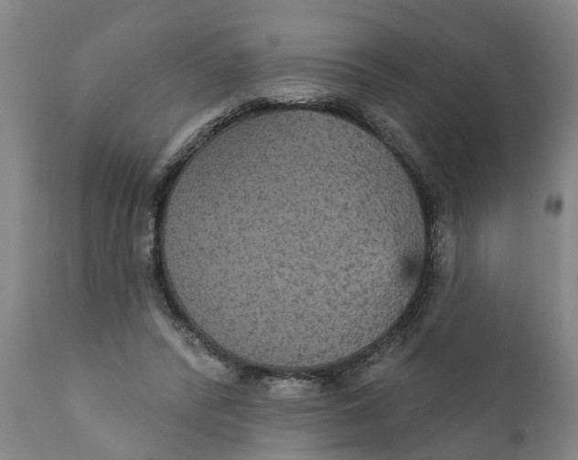 X0000111910400200908171306