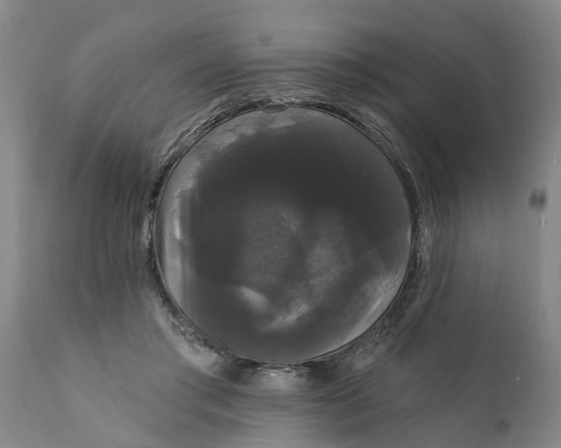 X0000111910405200908171306