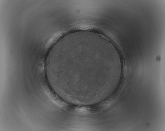 X0000111910407200908171306