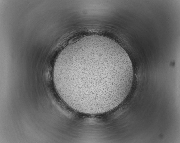 X0000111910408200908171306