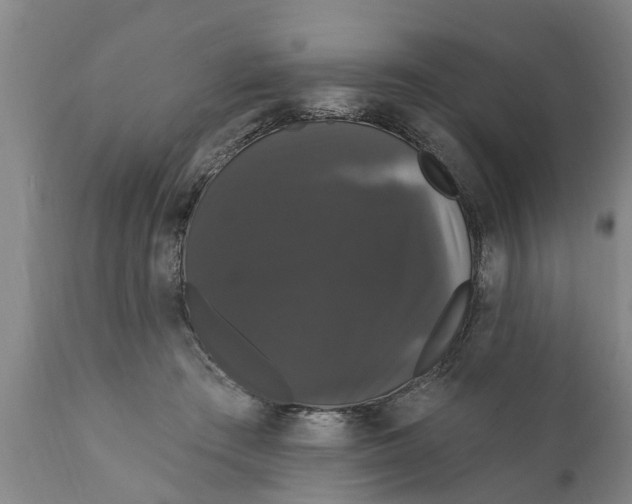X0000111910409200908171306