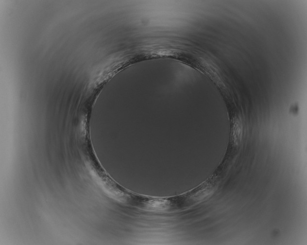 X0000111910410200908171306